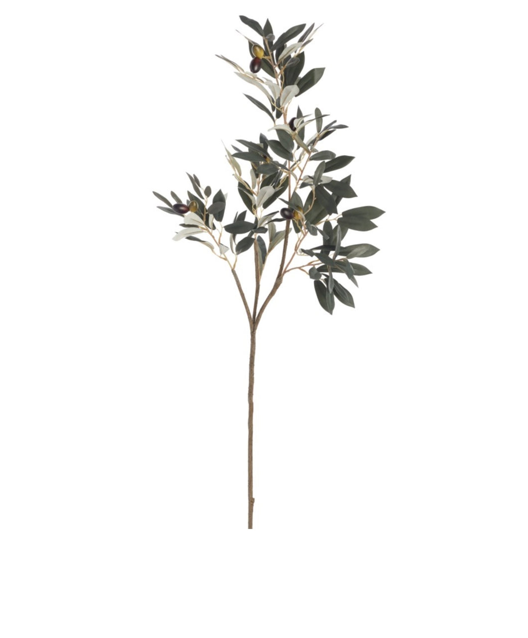 48” Olive Branch