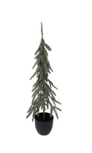 Slim Fir Potted Tree-2 sizes