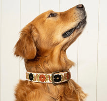 Dog Collar Large-2 Styles