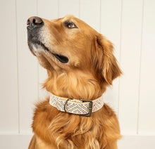 Dog Collar Large-2 Styles