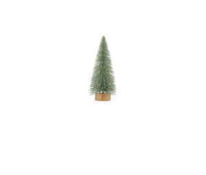 Sage Green Bottlebrush Trees-2 sizes