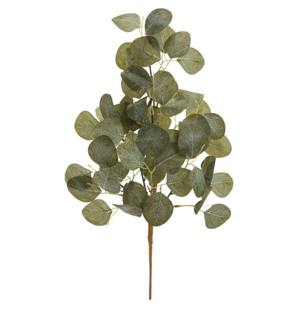 Eucalyptus Sparkle Stem