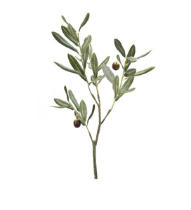 Olive Branch Pick