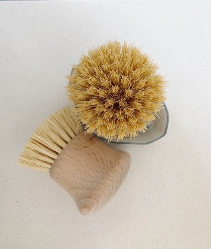 Wood Handle Scrub Brush