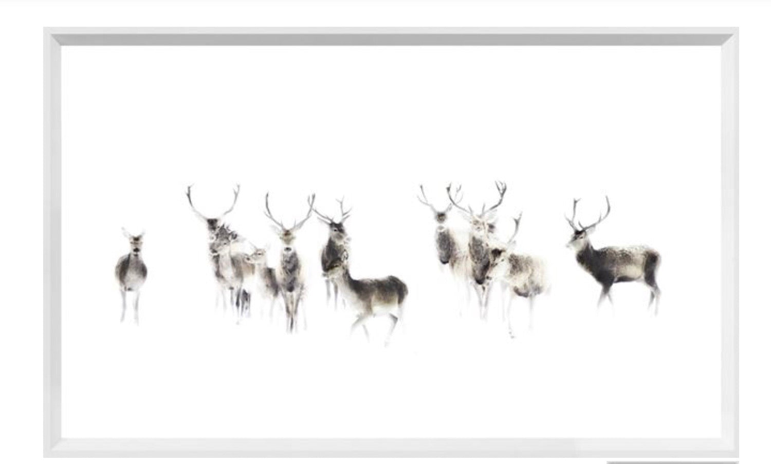 Modern Farmhouse Deer Print-2 Assorted – The Curated Bungalow