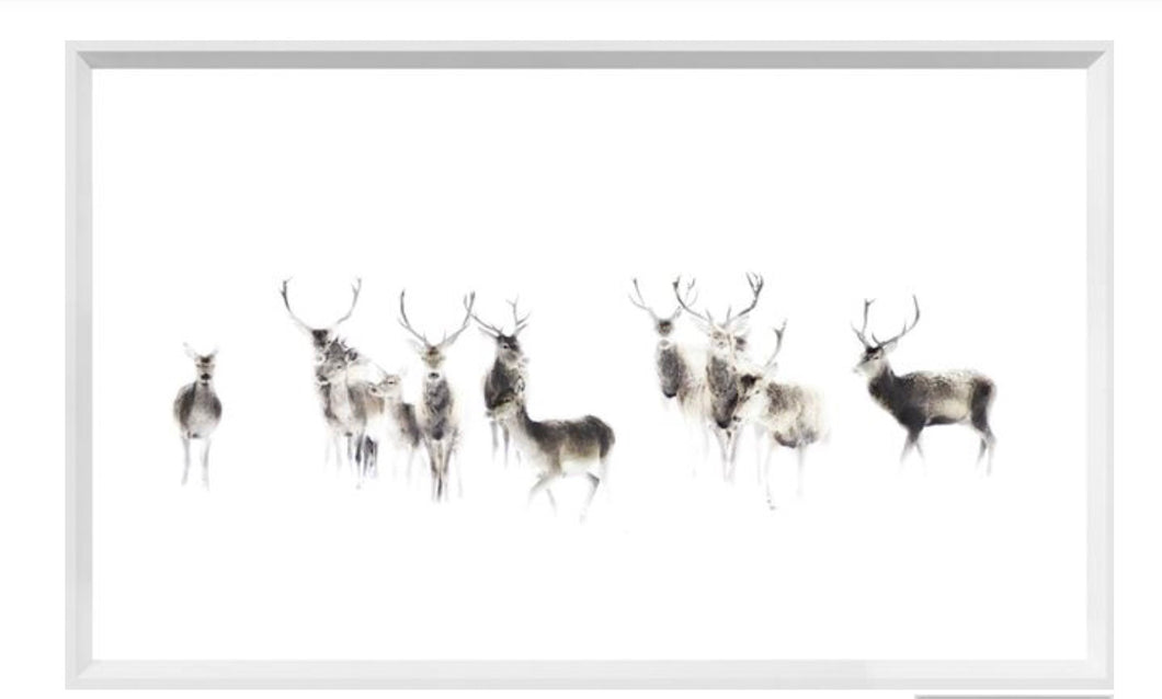Modern Farmhouse Deer Print-2 Assorted